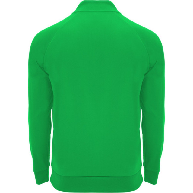 Roly Unisex epiro sweatshirt met lange mouwen voor volwassenen UTPF4425_ferngreen large