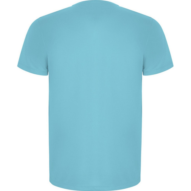 Roly Kinderen/kinderen imola sport t-shirt met korte mouwen UTPF4365_turquoise large