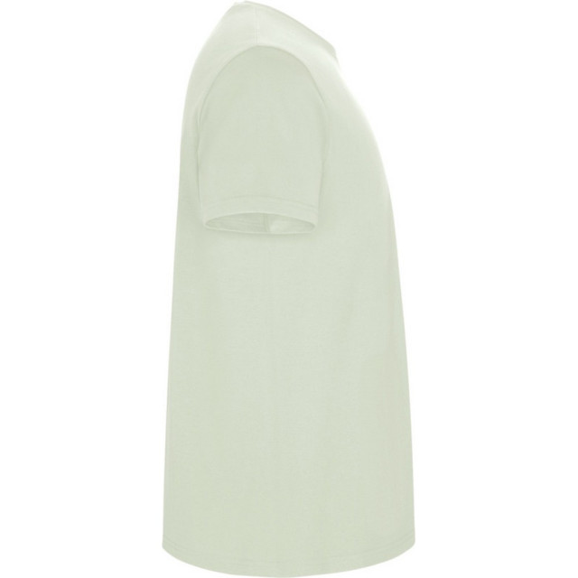 Roly Heren stafford t-shirt UTPF4347_mistgreen large