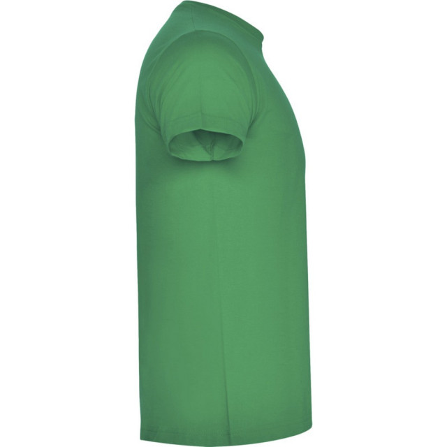 Roly Unisex atomic t-shirt voor volwassenen UTPF4348_kellygreen large