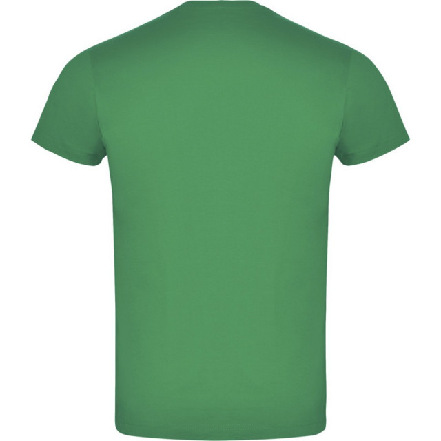 Roly Unisex atomic t-shirt voor volwassenen UTPF4348_kellygreen large
