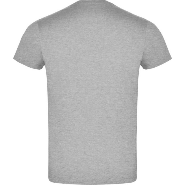 Roly Heren atomic heather t-shirt UTLT4409_heathergrey large