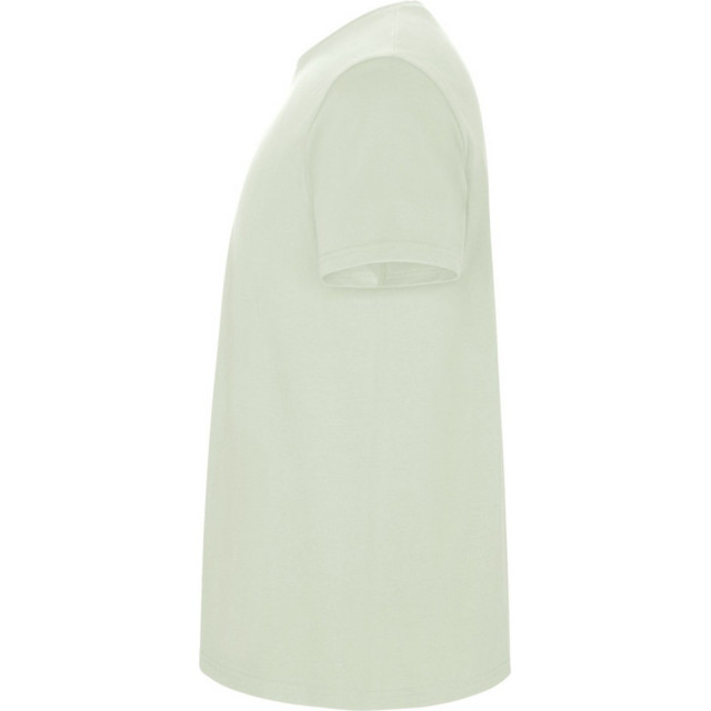 Roly Heren stafford t-shirt UTPF4347_mistgreen large