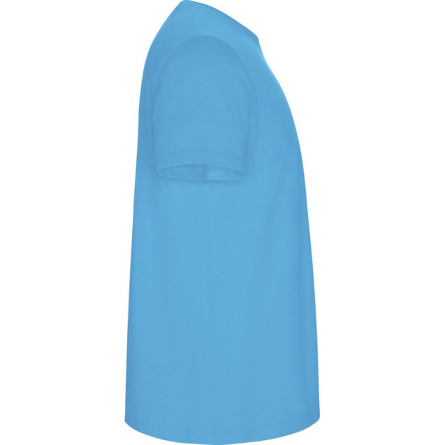 Roly Heren stafford t-shirt UTPF4347_turquoise large