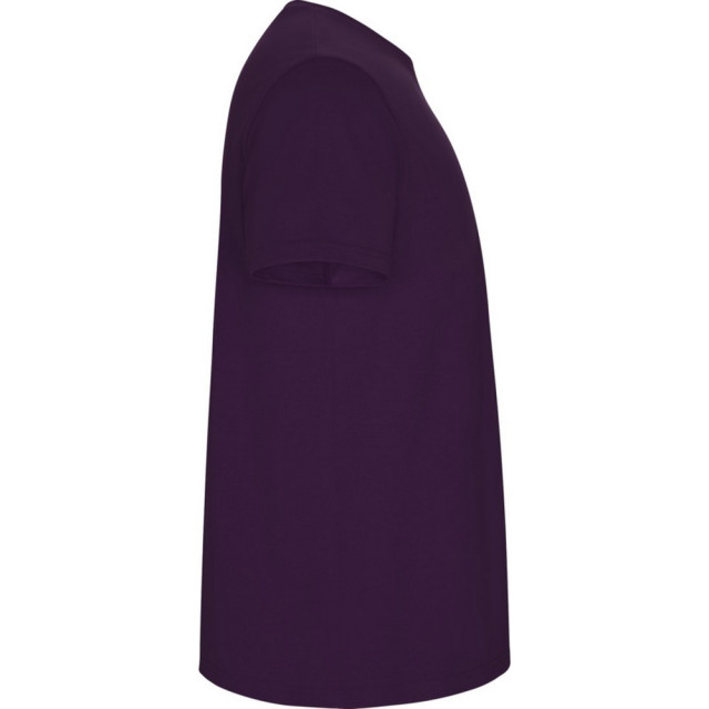 Roly Heren stafford t-shirt UTPF4347_purple large