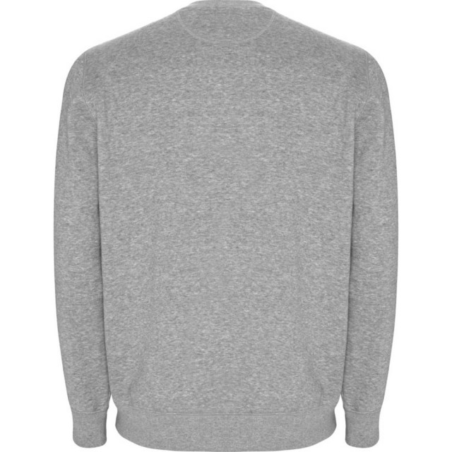 Roly Unisex adult batian sweatshirt met ronde hals UTPF4345_greymarl large