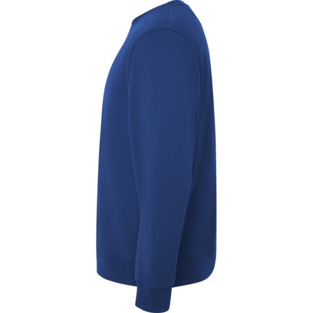 Roly Unisex adult batian sweatshirt met ronde hals UTPF4345_royalblue large