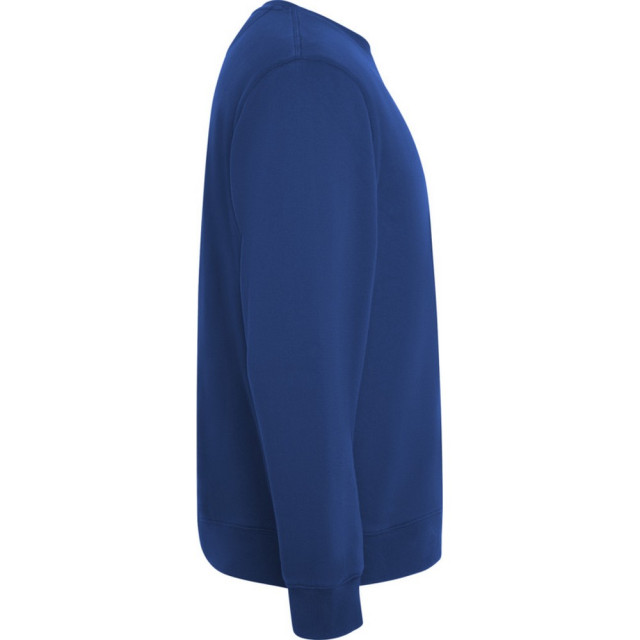 Roly Unisex adult batian sweatshirt met ronde hals UTPF4345_royalblue large