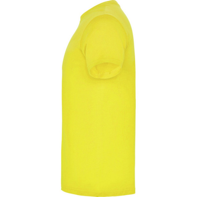 Roly Heren beagle t-shirt met korte mouwen UTPF4341_yellow large