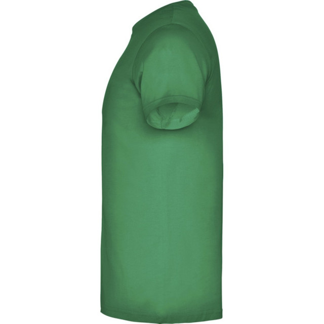 Roly Heren beagle t-shirt met korte mouwen UTPF4341_kellygreen large