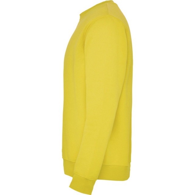 Roly Unisex clasica crew hals sweatshirt voor volwassenen UTPF4342_yellow large