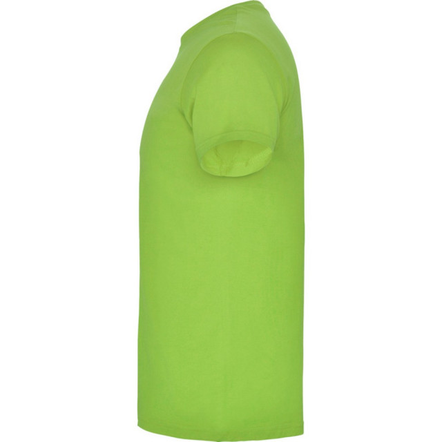 Roly Heren beagle t-shirt met korte mouwen UTPF4341_oasisgreen large