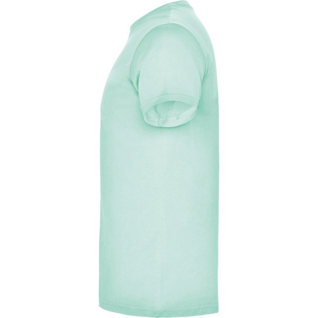 Roly Heren beagle t-shirt met korte mouwen UTPF4341_mint large