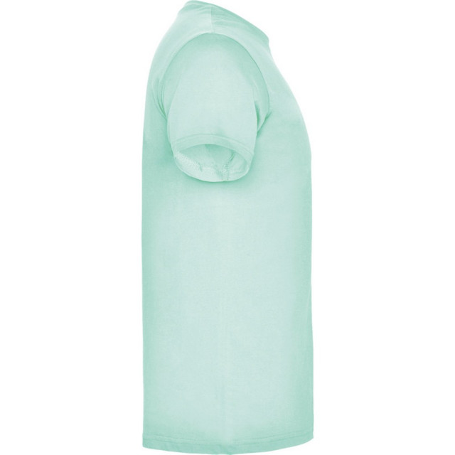 Roly Heren beagle t-shirt met korte mouwen UTPF4341_mint large