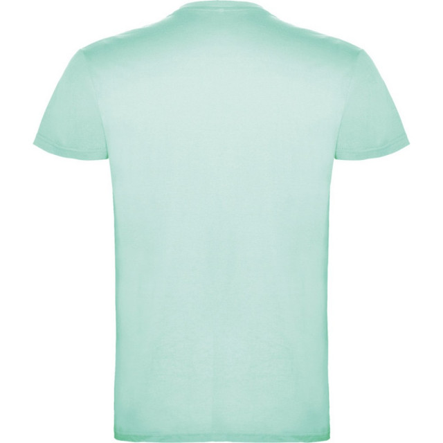 Roly Heren beagle t-shirt met korte mouwen UTPF4341_mint large