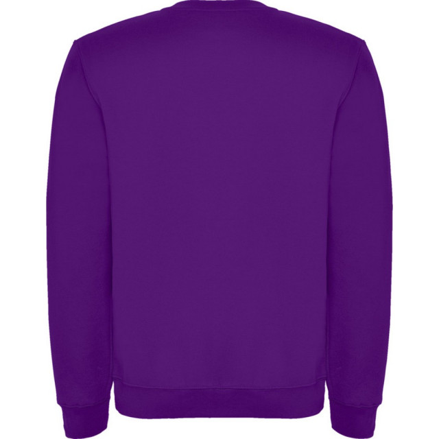 Roly Kinderen/kinderen clasica sweatshirt met ronde hals UTPF4338_purple large