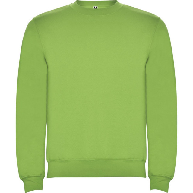 Roly Kinderen/kinderen clasica sweatshirt met ronde hals UTPF4338_oasisgreen large