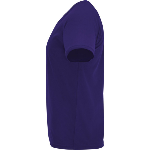 Roly Heren bahrein sport t-shirt met korte mouwen UTPF4339_mauve large