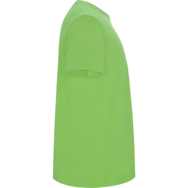 Roly Kinder/kinder stafford t-shirt met korte mouwen UTPF4336_oasisgreen large