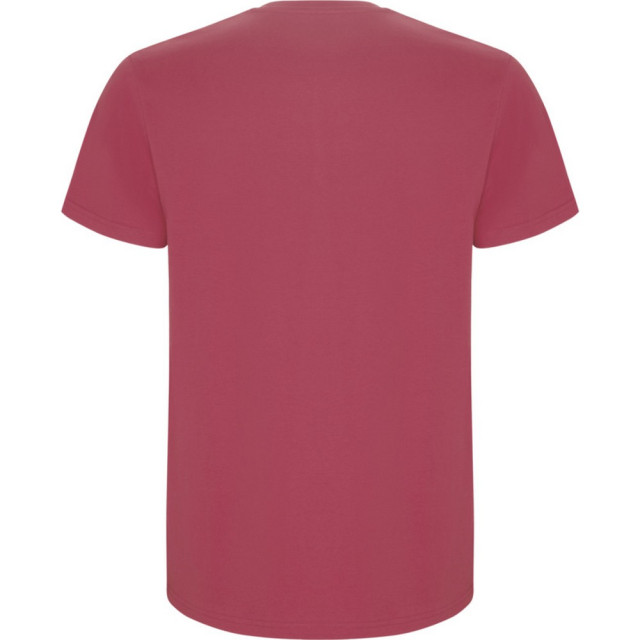 Roly Kinder/kinder stafford t-shirt met korte mouwen UTPF4336_chrysanthemumred large