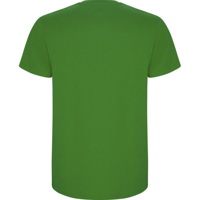 Roly Kinder/kinder stafford t-shirt met korte mouwen UTPF4336_grassgreen large