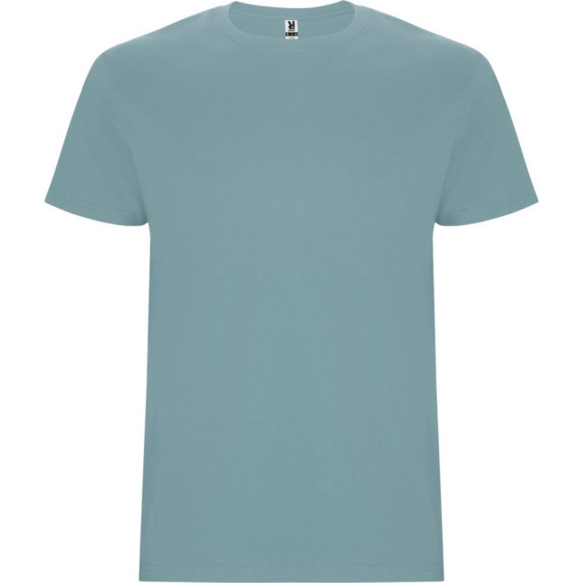 Roly Kinder/kinder stafford t-shirt met korte mouwen UTPF4336_dustyblue large