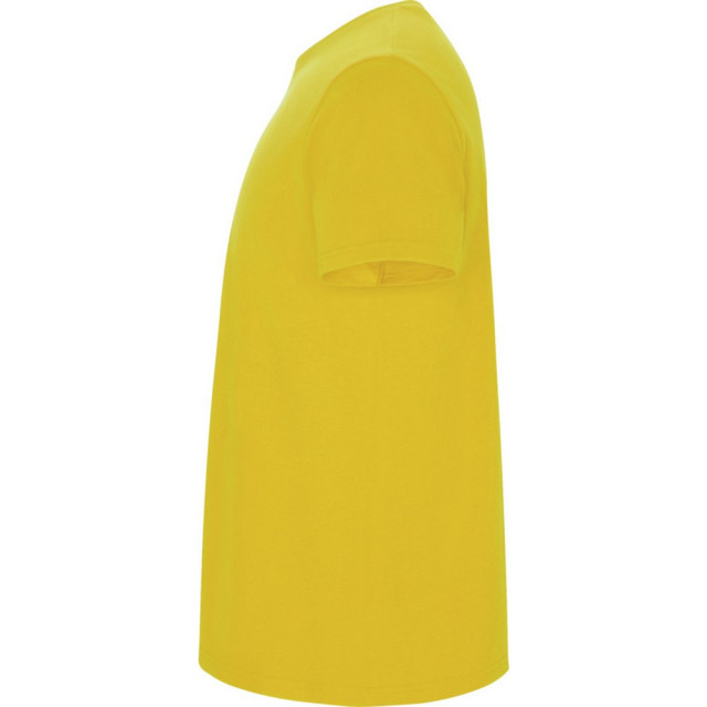 Roly Kinder/kinder stafford t-shirt met korte mouwen UTPF4336_yellow large