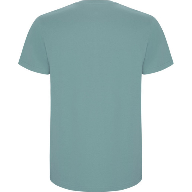 Roly Kinder/kinder stafford t-shirt met korte mouwen UTPF4336_dustyblue large