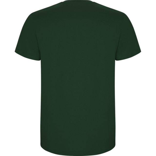Roly Kinder/kinder stafford t-shirt met korte mouwen UTPF4336_bottlegreen large