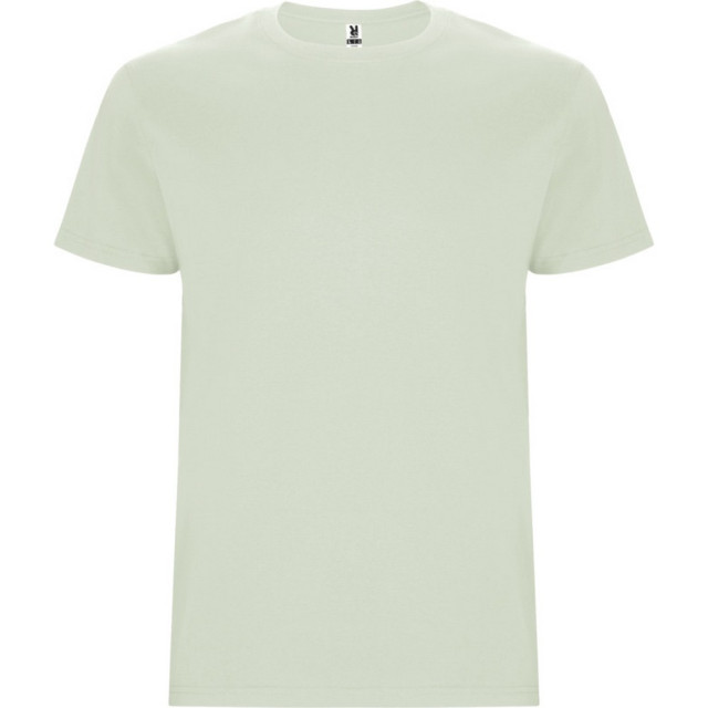 Roly Kinder/kinder stafford t-shirt met korte mouwen UTPF4336_mistgreen large
