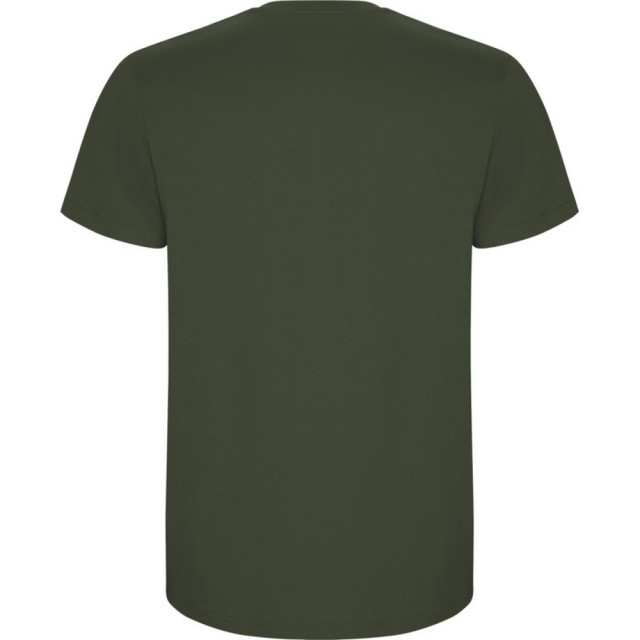 Roly Kinder/kinder stafford t-shirt met korte mouwen UTPF4336_venturegreen large