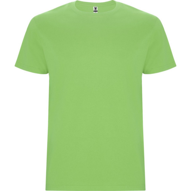 Roly Kinder/kinder stafford t-shirt met korte mouwen UTPF4336_oasisgreen large