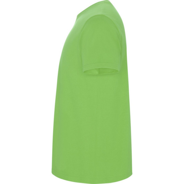 Roly Kinder/kinder stafford t-shirt met korte mouwen UTPF4336_oasisgreen large