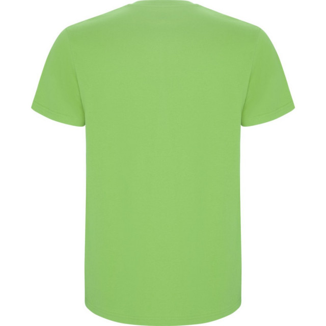 Roly Kinder/kinder stafford t-shirt met korte mouwen UTPF4336_oasisgreen large