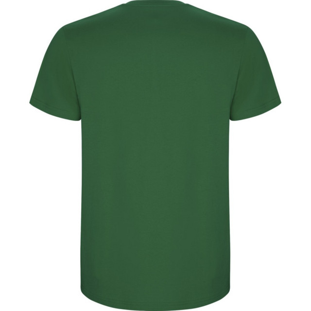 Roly Kinder/kinder stafford t-shirt met korte mouwen UTPF4336_kellygreen large
