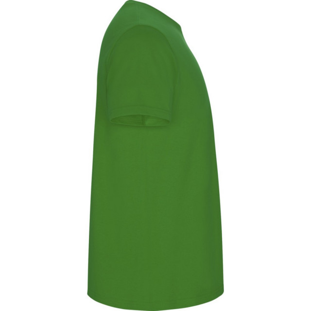 Roly Kinder/kinder stafford t-shirt met korte mouwen UTPF4336_grassgreen large