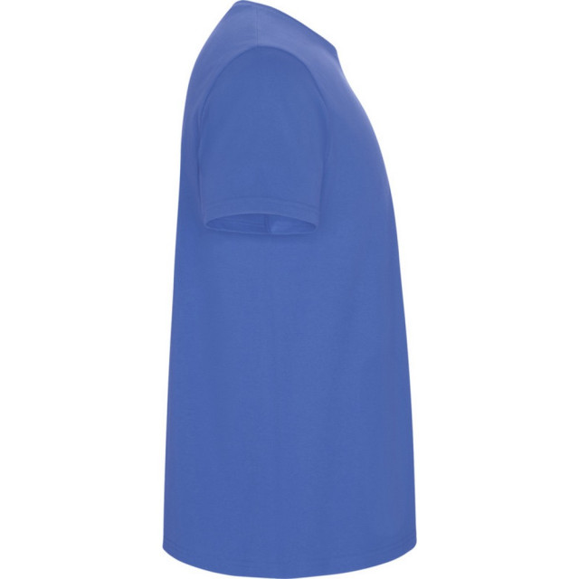 Roly Kinder/kinder stafford t-shirt met korte mouwen UTPF4336_rivierablue large