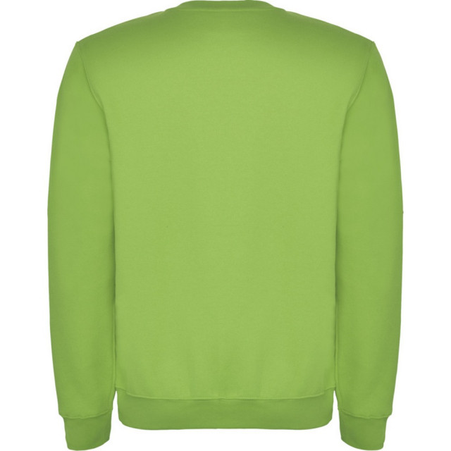Roly Kinderen/kinderen clasica sweatshirt met ronde hals UTPF4338_oasisgreen large