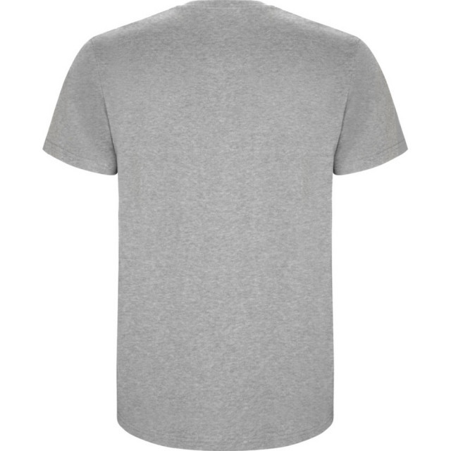 Roly Kinder/kinder stafford t-shirt met korte mouwen UTPF4336_greymarl large