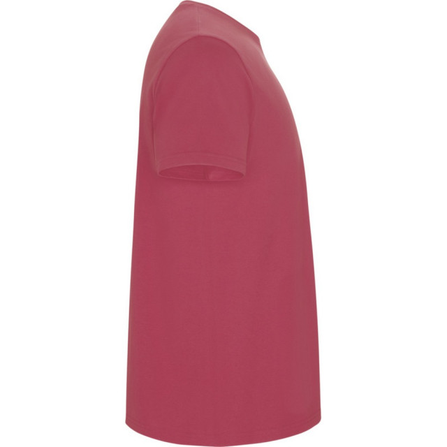 Roly Kinder/kinder stafford t-shirt met korte mouwen UTPF4336_chrysanthemumred large