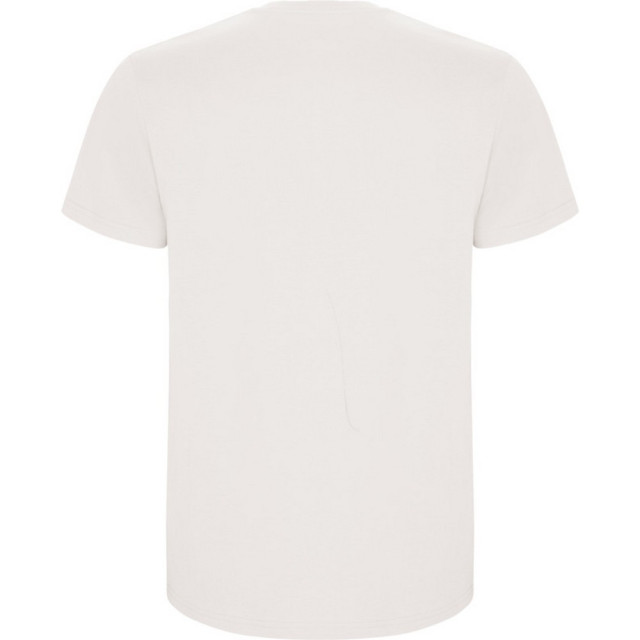 Roly Kinder/kinder stafford t-shirt met korte mouwen UTPF4336_vintagewhite large