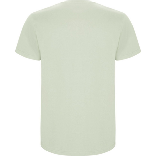 Roly Kinder/kinder stafford t-shirt met korte mouwen UTPF4336_mistgreen large