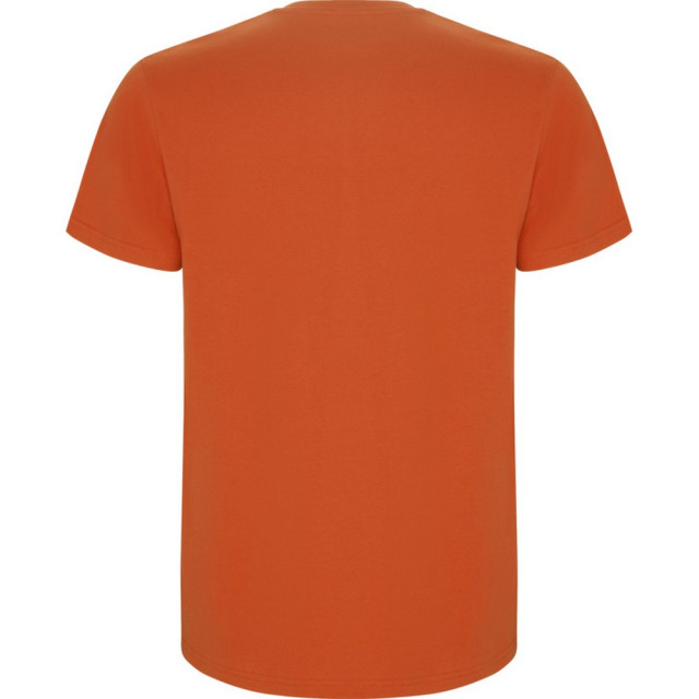 Roly Kinder/kinder stafford t-shirt met korte mouwen UTPF4336_orange large
