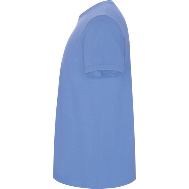 Roly Kinder/kinder stafford t-shirt met korte mouwen UTPF4336_skyblue large