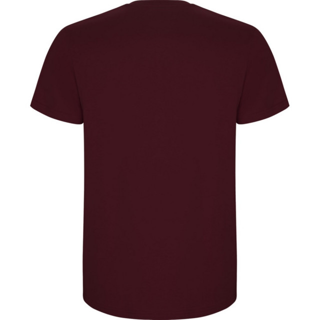 Roly Kinder/kinder stafford t-shirt met korte mouwen UTPF4336_garnet large