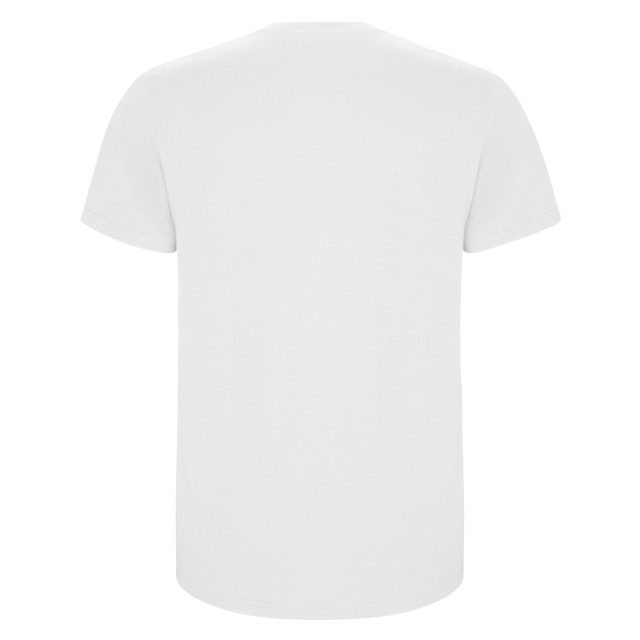 Roly Kinder/kinder stafford t-shirt met korte mouwen UTPF4336_white large