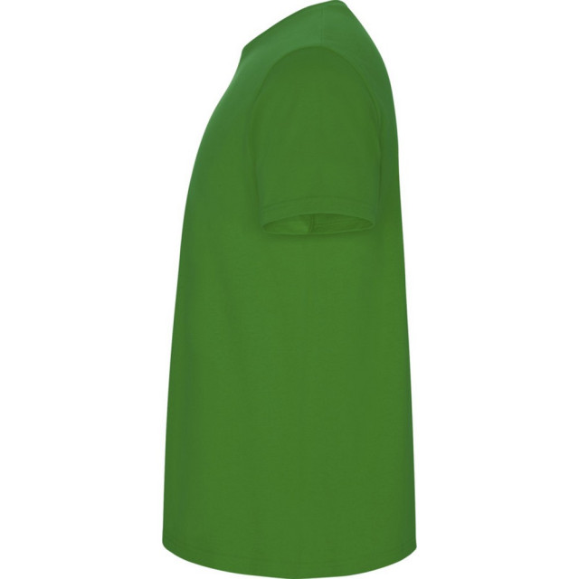 Roly Kinder/kinder stafford t-shirt met korte mouwen UTPF4336_grassgreen large