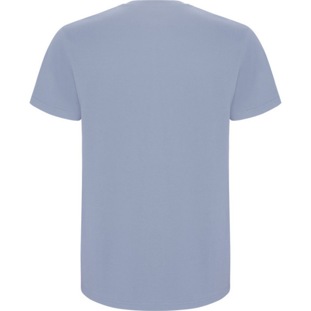 Roly Kinder/kinder stafford t-shirt met korte mouwen UTPF4336_zenblue large