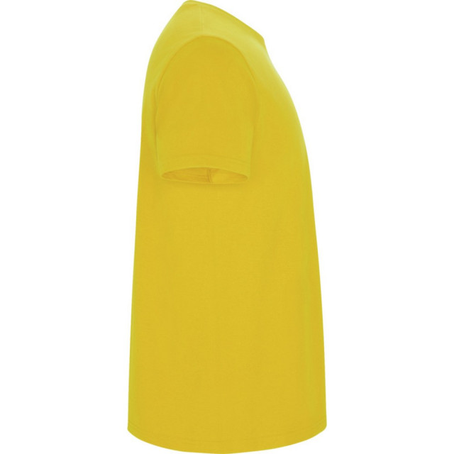 Roly Kinder/kinder stafford t-shirt met korte mouwen UTPF4336_yellow large