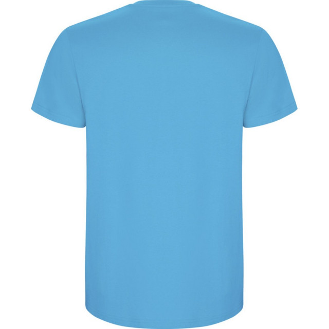 Roly Kinder/kinder stafford t-shirt met korte mouwen UTPF4336_turquoise large
